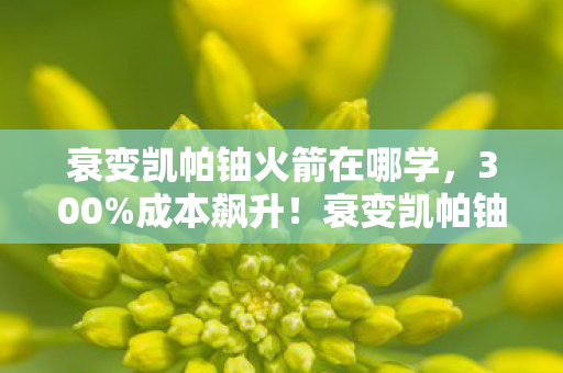 衰变凯帕铀火箭在哪学，300%成本飙升！衰变凯帕铀火箭引爆3大产业，玩家泪目，这波情怀杀竟是资本狂欢？