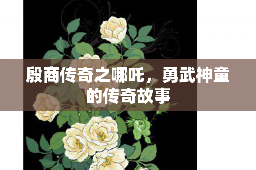 勇武神童的传奇故事图片