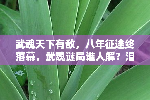 武魂天下有敌,八年征途终落幕,武魂谜局谁人解?泪目谢幕无声处 武魂天下有敌,八年征途终落幕,武魂谜局谁人解?泪目谢幕无声处