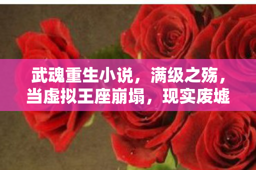 武魂重生小说,满级之殇,当虚拟王座崩塌,现实废墟中重生何在? 武魂重生小说,满级之殇,当虚拟王座崩塌,现实废墟中重生何在?