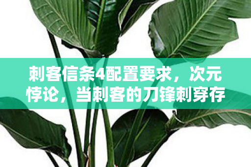 刺客信条4配置要求,次元悖论,当刺客的刀锋刺穿存在主义自由幻象 刺客信条4配置要求,次元悖论,当刺客的刀锋刺穿存在主义自由幻象
