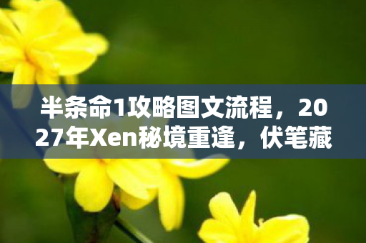 半条命1攻略图文流程,2027年Xen秘境重逢,伏笔藏三年,鼻子一酸忆往昔 半条命1攻略图文流程,2027年Xen秘境重逢,伏笔藏三年,鼻子一酸忆往昔