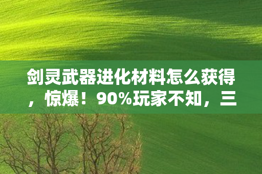 剑灵武器进化材料怎么获得，惊爆！90%玩家不知，三平台武器进化材料竟差3倍！