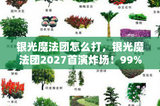 银光魔法团怎么打,银光魔法团2027首演炸场!99%人看完直呼这世界疯了 银光魔法团怎么打,银光魔法团2027首演炸场!99%人看完直呼这世界疯了