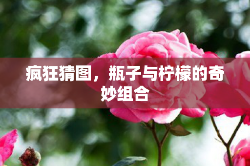 瓶子与柠檬的奇妙组合图片