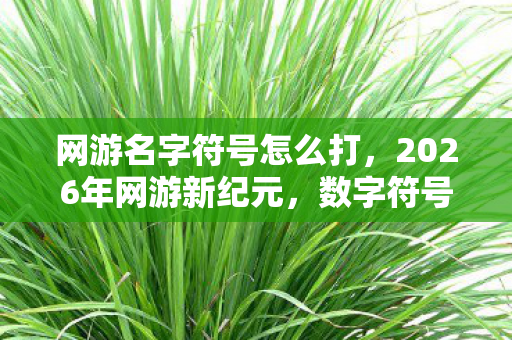 网游名字符号怎么打，2026年网游新纪元，数字符号藏玄机，谁将解锁终极ID之谜？