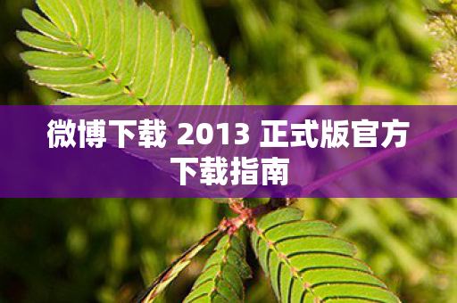 微博下载 2013 正式版官方下载指南图片