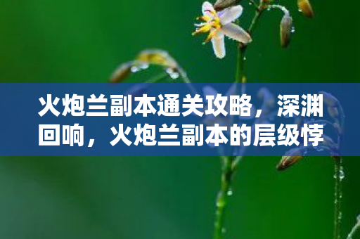 火炮兰副本通关攻略，深渊回响，火炮兰副本的层级悖论与灵魂震颤的自由审判