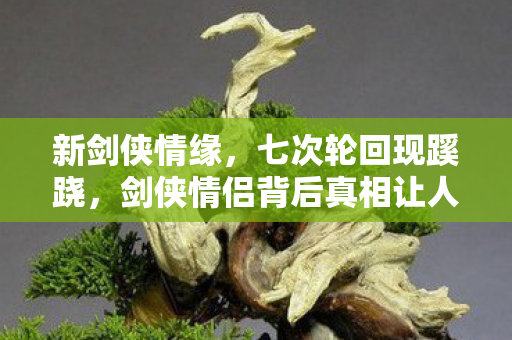 新剑侠情缘,七次轮回现蹊跷,剑侠情侣背后真相让人后背发凉 新剑侠情缘,七次轮回现蹊跷,剑侠情侣背后真相让人后背发凉