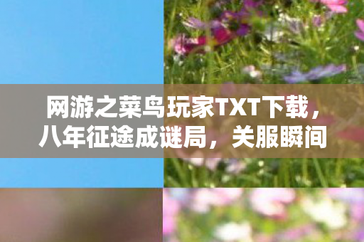 网游之菜鸟玩家TXT下载,八年征途成谜局,关服瞬间泪目空——网游菜鸟的消逝之章 网游之菜鸟玩家TXT下载,八年征途成谜局,关服瞬间泪目空——网游菜鸟的消逝之章