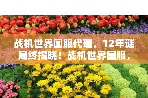 战机世界国服代理,12年谜局终揭晓!战机世界国服,从辉煌到沉寂的泪目征程 战机世界国服代理,12年谜局终揭晓!战机世界国服,从辉煌到沉寂的泪目征程