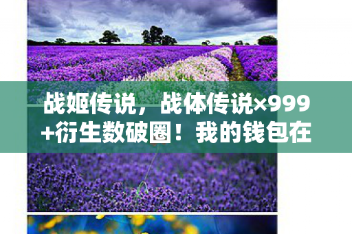 战姬传说,战体传说×999+衍生数破圈!我的钱包在异世界被意想不到的联名刺客刺穿 战姬传说,战体传说×999+衍生数破圈!我的钱包在异世界被意想不到的联名刺客刺穿