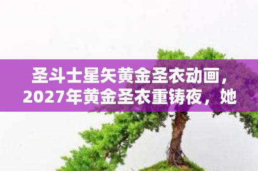圣斗士星矢黄金圣衣动画，2027年黄金圣衣重铸夜，她一句等你让我鼻子一酸，伏笔竟是……