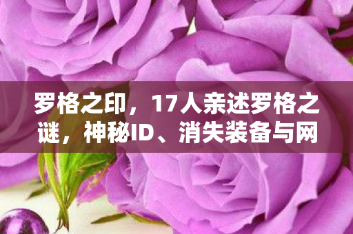 罗格之印,17人亲述罗格之谜,神秘ID、消失装备与网吧里绷不住的集体破防 罗格之印,17人亲述罗格之谜,神秘ID、消失装备与网吧里绷不住的集体破防