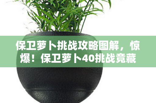保卫萝卜挑战攻略图解,惊爆!保卫萝卜40挑战竟藏300万隐情?结果让人吓一跳! 保卫萝卜挑战攻略图解,惊爆!保卫萝卜40挑战竟藏300万隐情?结果让人吓一跳!