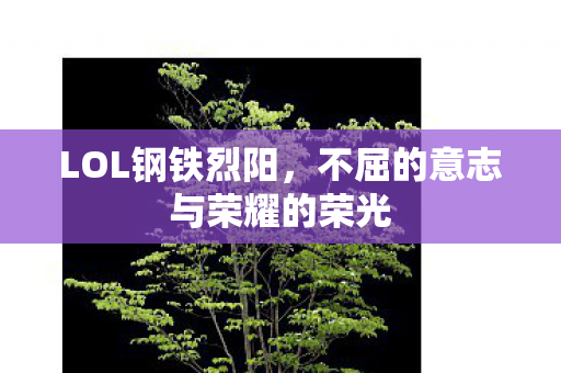 不屈的意志与荣耀的荣光图片