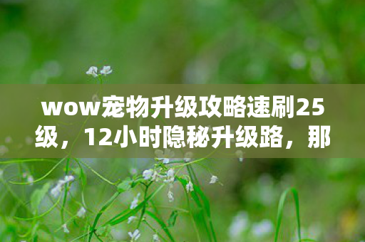 wow宠物升级攻略速刷25级，12小时隐秘升级路，那些通宵哽咽的宠物，如今还在背包里等我吗