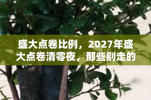 盛大点卷比例,2027年盛大点卷清零夜,那些别走的伏笔,让我鼻子一酸 盛大点卷比例,2027年盛大点卷清零夜,那些别走的伏笔,让我鼻子一酸