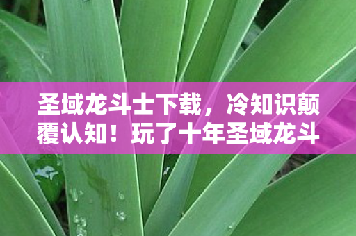 圣域龙斗士下载，冷知识颠覆认知！玩了十年圣域龙斗士的我竟目瞪口呆