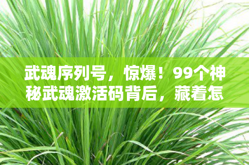 武魂序列号,惊爆!99个神秘武魂激活码背后,藏着怎样的惊天秘密? 武魂序列号,惊爆!99个神秘武魂激活码背后,藏着怎样的惊天秘密?