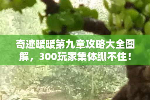 奇迹暖暖第九章攻略大全图解,300玩家集体绷不住!第九章隐藏关卡竟藏网吧十年未解之谜? 奇迹暖暖第九章攻略大全图解,300玩家集体绷不住!第九章隐藏关卡竟藏网吧十年未解之谜?