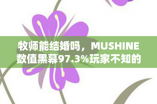 牧师能结婚吗,MUSHINE数值黑幕97.3%玩家不知的隐藏机制!策划连夜删库的真相 牧师能结婚吗,MUSHINE数值黑幕97.3%玩家不知的隐藏机制!策划连夜删库的真相