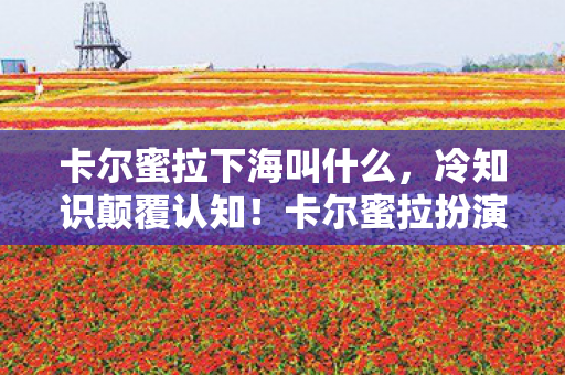 卡尔蜜拉下海叫什么，冷知识颠覆认知！卡尔蜜拉扮演者下海真相竟让玩家目瞪口呆