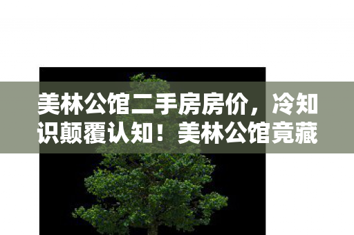 美林公馆二手房房价，冷知识颠覆认知！美林公馆竟藏游戏界定时炸弹，玩家目瞪口呆五年未察觉