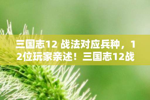 三国志12 战法对应兵种,12位玩家亲述!三国志12战法疑云,这操作真把大神都整绷不住了? 三国志12 战法对应兵种,12位玩家亲述!三国志12战法疑云,这操作真把大神都整绷不住了?