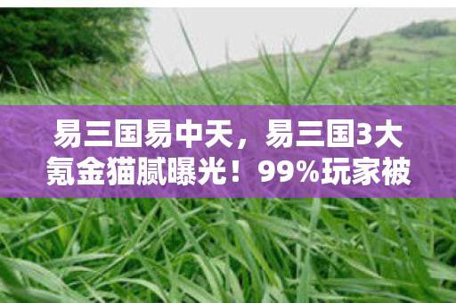 易三国易中天,易三国3大氪金猫腻曝光!99%玩家被割韭菜还喊真香? 易三国易中天,易三国3大氪金猫腻曝光!99%玩家被割韭菜还喊真香?