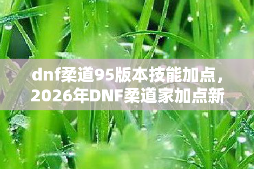 dnf柔道95版本技能加点,2026年DNF柔道家加点新章,伏笔深埋,鼻子一酸忆旧情 dnf柔道95版本技能加点,2026年DNF柔道家加点新章,伏笔深埋,鼻子一酸忆旧情