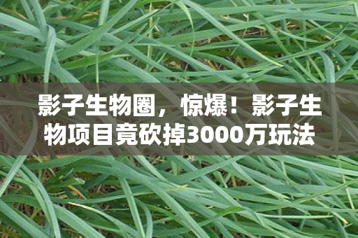 影子生物圈,惊爆!影子生物项目竟砍掉3000万玩法,背后隐情让人吓一跳! 影子生物圈,惊爆!影子生物项目竟砍掉3000万玩法,背后隐情让人吓一跳!