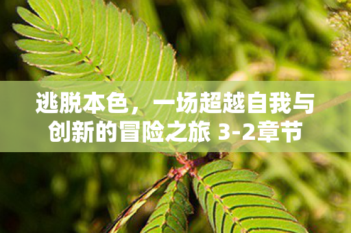 一场超越自我与创新的冒险之旅 3图片
