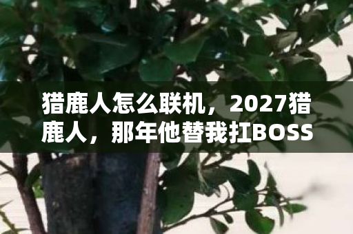 猎鹿人怎么联机,2027猎鹿人,那年他替我扛BOSS的伏笔,如今鼻子一酸只剩灰头像 猎鹿人怎么联机,2027猎鹿人,那年他替我扛BOSS的伏笔,如今鼻子一酸只剩灰头像