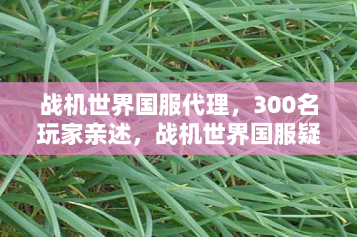 战机世界国服代理,300名玩家亲述,战机世界国服疑云重重,这操作真让人绷不住! 战机世界国服代理,300名玩家亲述,战机世界国服疑云重重,这操作真让人绷不住!