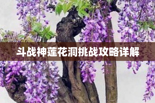 斗战神莲花洞挑战攻略详解图片