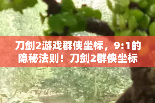 刀剑2游戏群侠坐标,9:1的隐秘法则!刀剑2群侠坐标背后,藏着多少玩家的扎心真相? 刀剑2游戏群侠坐标,9:1的隐秘法则!刀剑2群侠坐标背后,藏着多少玩家的扎心真相?