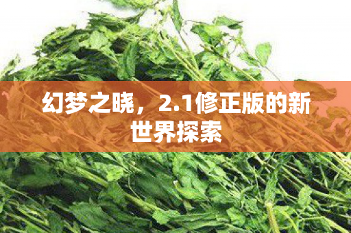 1修正版的新世界探索图片