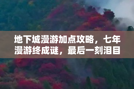 地下城漫游加点攻略,七年漫游终成谜,最后一刻泪目时 地下城漫游加点攻略,七年漫游终成谜,最后一刻泪目时