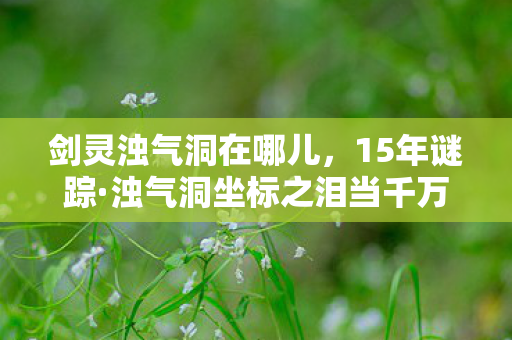 剑灵浊气洞在哪儿,15年谜踪·浊气洞坐标之泪当千万玩家在数据洪流中寻找归途 剑灵浊气洞在哪儿,15年谜踪·浊气洞坐标之泪当千万玩家在数据洪流中寻找归途