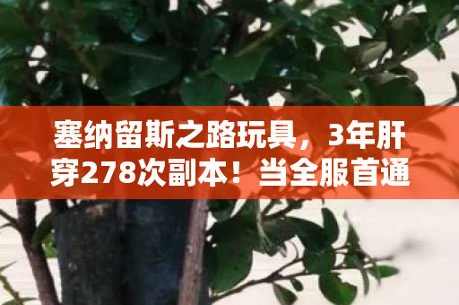 塞纳留斯之路玩具,3年肝穿278次副本!当全服首通弹窗亮起时,我删掉了所有好友 塞纳留斯之路玩具,3年肝穿278次副本!当全服首通弹窗亮起时,我删掉了所有好友