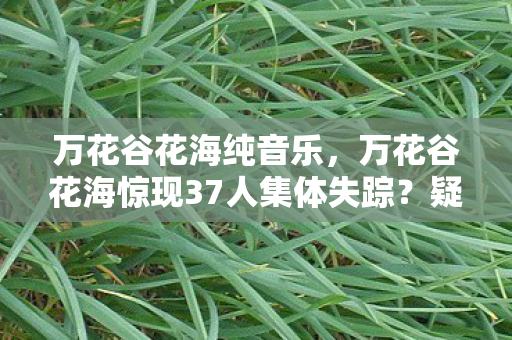 万花谷花海纯音乐,万花谷花海惊现37人集体失踪?疑点重重玩家直呼绷不住了! 万花谷花海纯音乐,万花谷花海惊现37人集体失踪?疑点重重玩家直呼绷不住了!