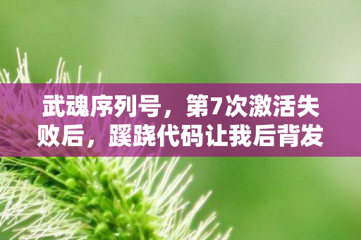 武魂序列号,第7次激活失败后,蹊跷代码让我后背发凉,这根本不是游戏 武魂序列号,第7次激活失败后,蹊跷代码让我后背发凉,这根本不是游戏