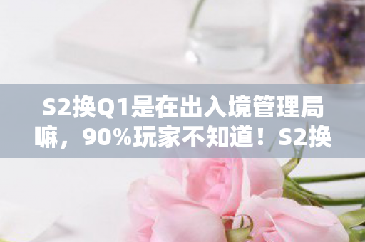 S2换Q1是在出入境管理局嘛，90%玩家不知道！S2换装竟在这平台快3倍？手残党集体破防！