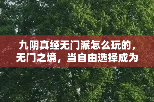 九阴真经无门派怎么玩的，无门之境，当自由选择成为命运枷锁的悖论震颤
