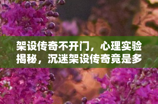 架设传奇不开门，心理实验揭秘，沉迷架设传奇竟是多巴胺的细思极恐陷阱