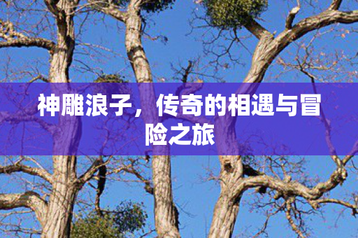 传奇的相遇与冒险之旅图片