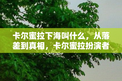 卡尔蜜拉下海叫什么,从落差到真相,卡尔蜜拉扮演者下海背后,笑着笑着就哭了 卡尔蜜拉下海叫什么,从落差到真相,卡尔蜜拉扮演者下海背后,笑着笑着就哭了