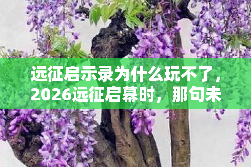 远征启示录为什么玩不了,2026远征启幕时,那句未兑的豪礼承诺,让我鼻子一酸 远征启示录为什么玩不了,2026远征启幕时,那句未兑的豪礼承诺,让我鼻子一酸