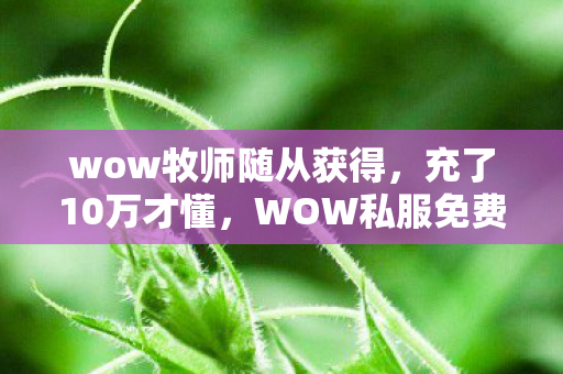 wow牧师随从获得,充了10万才懂,WOW私服免费背后,竟藏着让我吓一跳的吞金陷阱! wow牧师随从获得,充了10万才懂,WOW私服免费背后,竟藏着让我吓一跳的吞金陷阱!